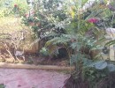 4 BHK Independent House for Rent in Jubilee Hills