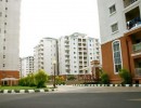 3 BHK Flat for Sale in Koramangala