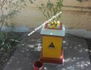 2 BHK Independent House for Sale in Kovaipudur
