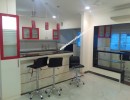 3 BHK Flat for Rent in T.Nagar