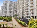 3 BHK Flat for Sale in Sholinganallur
