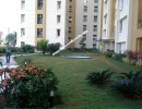 3 BHK Flat for Rent in Thoraipakkam