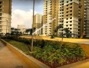 2 BHK Flat for Sale in Yelahanka