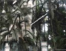 3 BHK Flat for Sale in Indiranagar