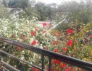 3 BHK Flat for Sale in Besant Nagar