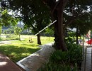 3 BHK Flat for Sale in Alandur