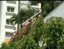 2 BHK Flat for Sale in Sholinganallur