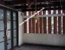 4 BHK Independent House for Rent in Alwarpet