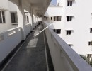 3 BHK Flat for Sale in Thoraipakkam
