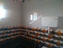 3 BHK Flat for Rent in Ganapathy
