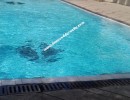 3 BHK Flat for Sale in Wanowarie