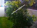 4 BHK Duplex House for Sale in Marudhamalai Road