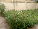 2 BHK Independent House for Sale in Kavundampalayam