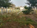 2 BHK Mixed - Residential for Sale in Vellaore