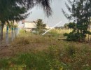 2 BHK Mixed - Residential for Sale in Vellaore