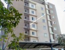 2 BHK Flat for Sale in Avinashi Road