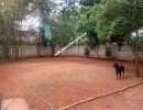 2 BHK Independent House for Sale in Krishnacolony