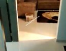 2 BHK Flat for Sale in Undri