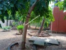 2 BHK Independent House for Sale in Pudupakkam