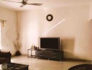 3 BHK Flat for Sale in Red Fields