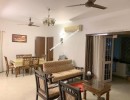 3 BHK Flat for Rent in Nungambakkam