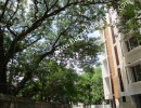 3 BHK Flat for Sale in Kotturpuram