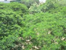 4 BHK Flat for Sale in Kotturpuram