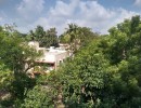 2 BHK Flat for Rent in Anna Nagar East
