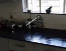 3 BHK Flat for Rent in Koregaon Park