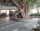 3 BHK Flat for Sale in Trichy Road