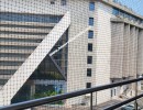 3 BHK Flat for Rent in Facor Layout