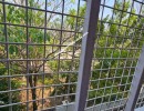 3 BHK Flat for Sale in Vijayanagar
