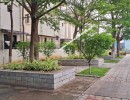 3 BHK Villa for Sale in G.N.Mills