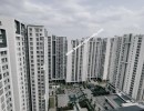 3 BHK Flat for Sale in Koyambedu