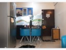 1 BHK Flat for Rent in Koregaon Park