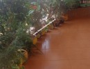 4 BHK Flat for Sale in Mohamad Wadi