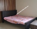 3 BHK Flat for Rent in Muralinagar