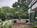 3 BHK Independent House for Rent in T.Nagar
