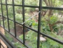 2 BHK Flat for Sale in Thiruvanmiyur