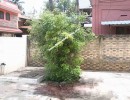 4 BHK Independent House for Sale in Kavundampalayam