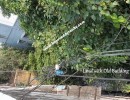 BHK Standalone Building for Sale in Purasawalkam