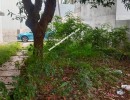 6 BHK Independent House for Rent in Kuvempunagar