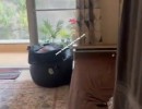 1 BHK Flat for Sale in Viman Nagar