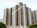 3 BHK Flat for Sale in Nungambakkam