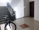 3 BHK Flat for Sale in Hsr Layout