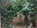 3 BHK Independent House for Sale in P.N. Pudur