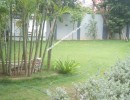3 BHK Flat for Rent in Neelankarai