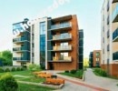  BHK Flat for Sale in Anna Nagar West