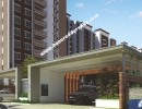 3 BHK Flat for Sale in Guindy