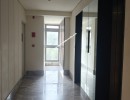 3 BHK Flat for Rent in Raja Annamalaipuram